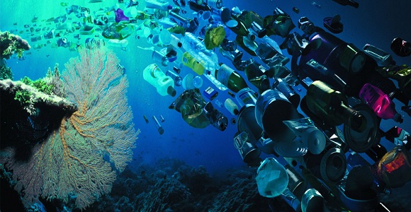 Rác thải nhựa từ đại dương